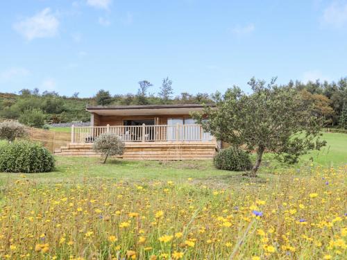 Corwen House | Meadow Lodge