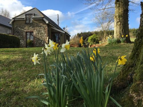 East Portlemouth House | Meadow Sweet Cottage
