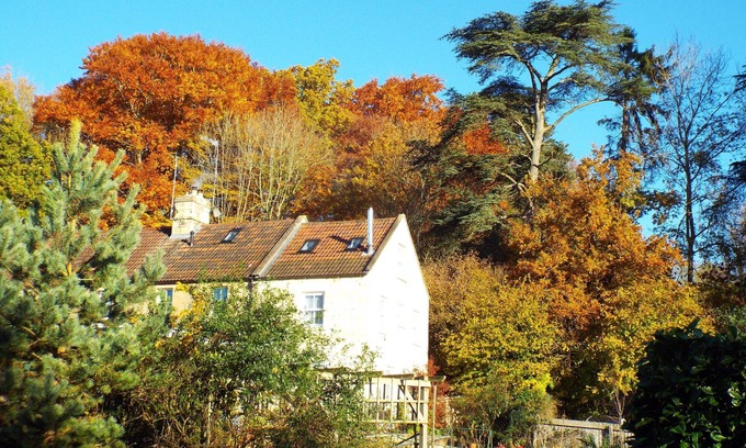 Corsham Bed & Breakfast | Meadowbrook Cottage B&B