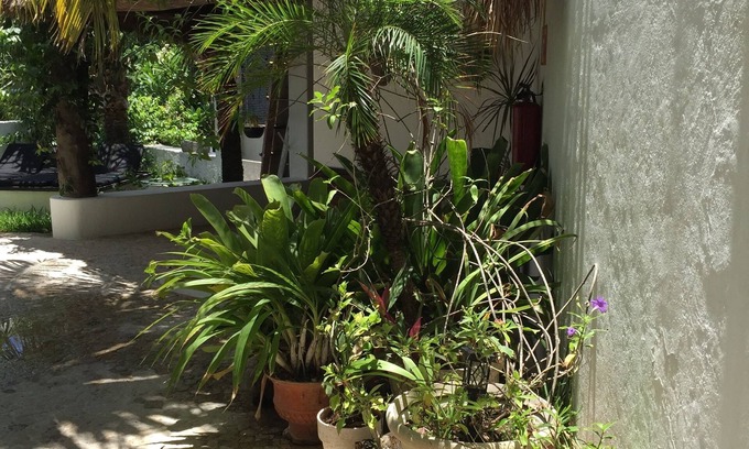 Colonia Centro House | Mi Casa en Cozumel