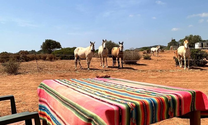 Lagos House | Michas caravan for 2 See the herd of horses from your bed