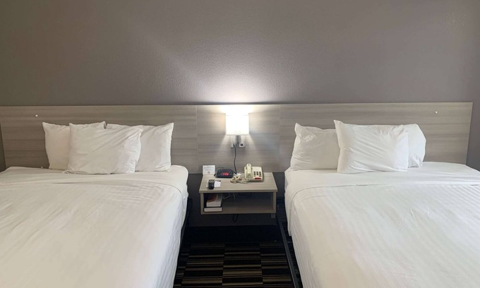 Toddville Road Hotel | Microtel Inn by Wyndham Charlotte Airport