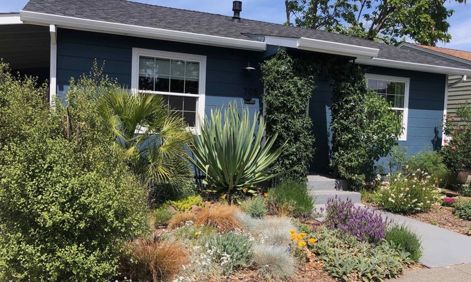 Petaluma House | Mid-century bungalow in wine country