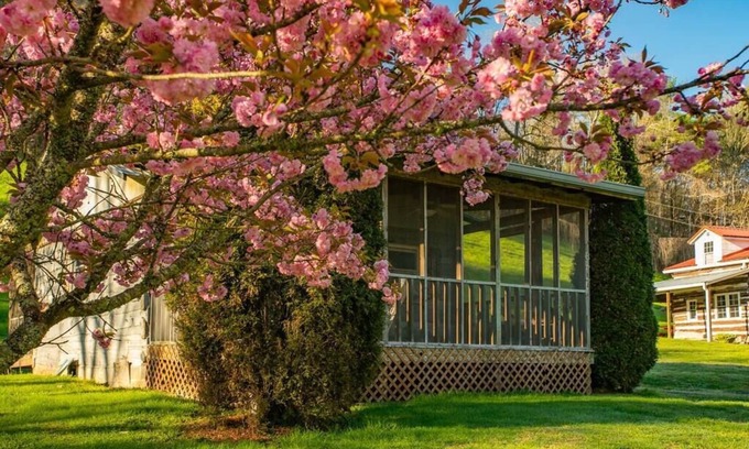Bristol Cabin | Midge: cozy studio cabin, firepit, perfect for anglers w/wading river access