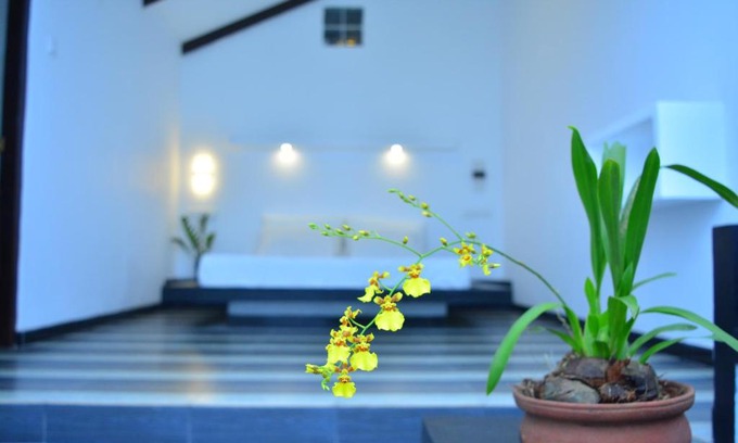 Midigama Bed & Breakfast | Midigama Holiday Inn