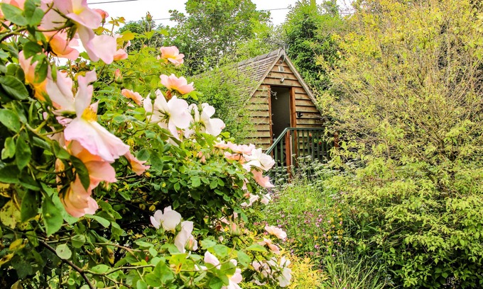 Diddlebury Cottage | Milford Tree Tops