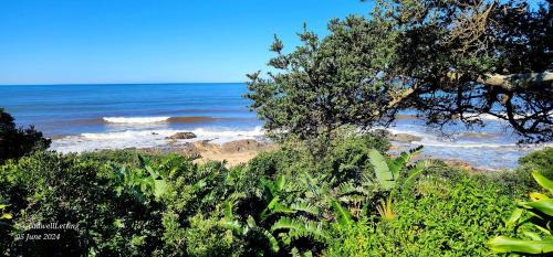 Port Edward Apartment | Milkwood Lodge 10 - Sleeps 4
