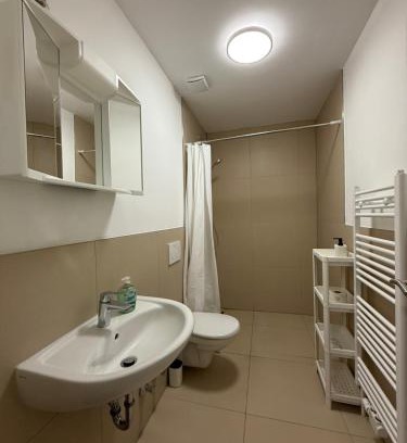 Mainz-Bingen House | MillimetergenauApt