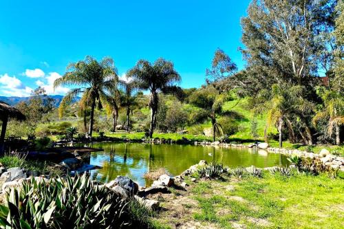 Fallbrook House | Milly Ranch