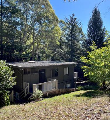 Sawmill Settlement House | Milly @ Sawmill