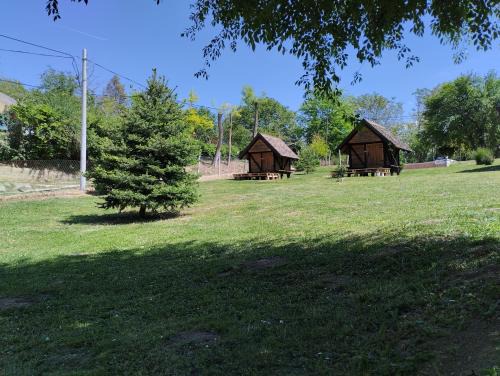 South Backa District Other | Mini-Camp SKELICA