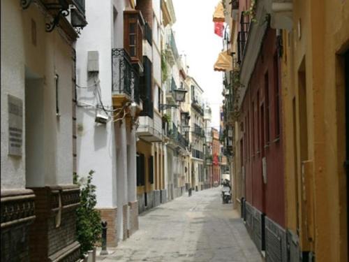 San Vicente Apartment | Minimalismo de Vanguardia con altas calidades 2 hab- speed wifi -ac