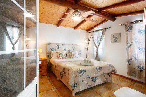 Tejina Apartment | Minipiso Tejina de Isora