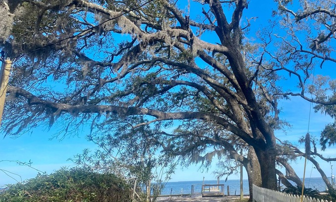 Gulf Shores Cottage | Minutes from beach with Bay view, pier, fenced yard & dog friendly!