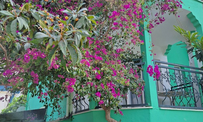 Marmaris City Center Apartment | Miramonte Apart Hotel