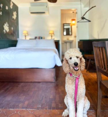 Bagong Lipunan Ng Crame Apartment | MiraNamin Nest CALACHUCHI Room in Unique Historic Home - Balcony, Rooftop, Garden View, Shared Kitchen, Pet Friendly with a Fee