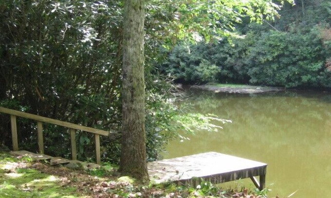 Burnsville House | Mirror Woods, On A Quiet Mtn. Pond Surrounded By Nature Includes A/C