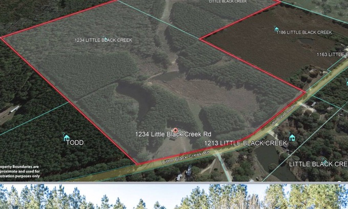 Lamar County Cottage | Miss Harmony Starr Farms