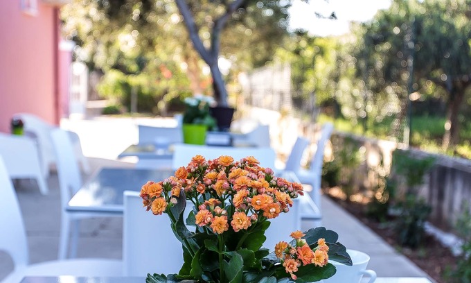 Terrasini Bed & Breakfast | Miss Sicily B&B