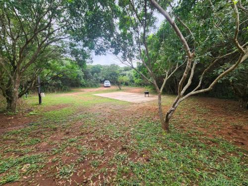 Hluhluwe Other | Mkumbi Nyala Campsite
