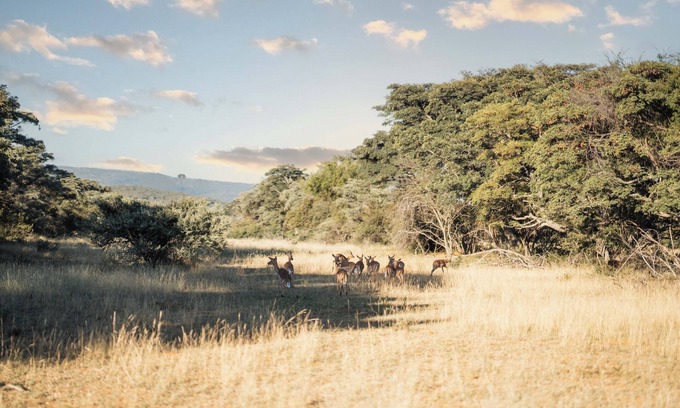 Mookgopong House | Mmakuba Game Lodge, Two Bedroom Villa 3
