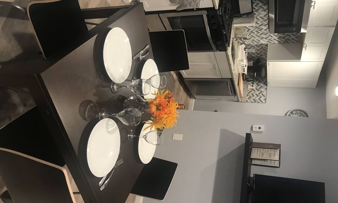 Federal Hill Apartment | Modern 1 bedroom on historic federal hill.