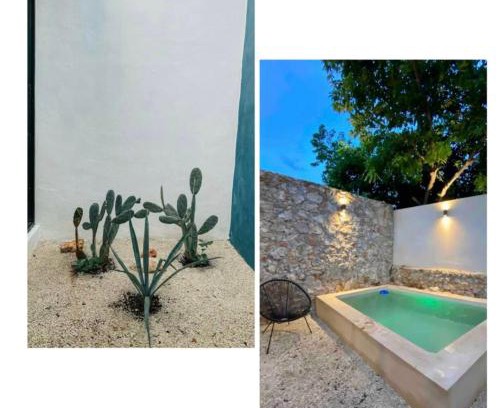 Merida House | Modern Casa with Pool 7 mins from Centro 5min La Plancha Park