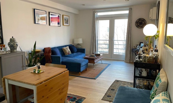 Williamsburg Apartment | Modern lg 2/2 Condo central Wburg : balcony, prkg, roof, gym. Sleeps 6