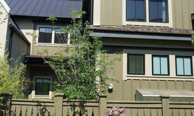 Palmetto House | Modern, sunny townhouse in idyllic Serenbe
