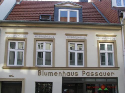 Greifswald Apartment | Moderne Ferienwohnung Mitten In Greifswald