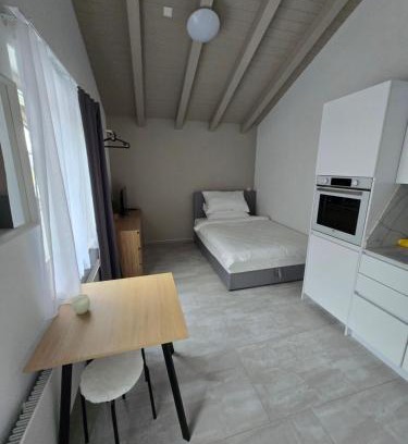 Bilten Apartment | Modernes Studio in Bilten