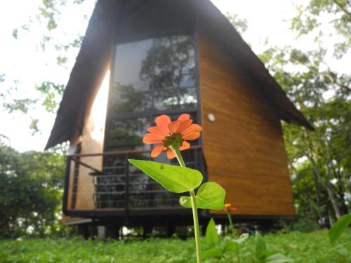 Viota Cabin | Mogambo Ecolodge