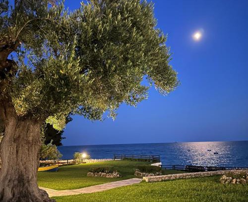 Mola Kalyva House | Mola Kalyva SeaView Mesidrili