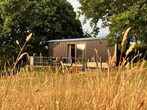 Marsham House | Molly Top Farm