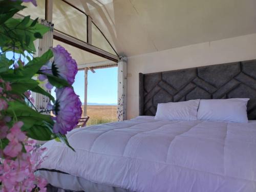 Puno Hotel | Montañas del titicaca lodge