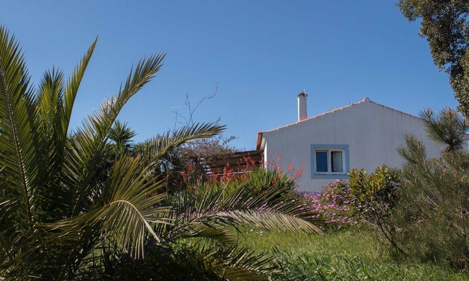 Santiago do Cacem House | Monte Horizonte - Casa Passaro - Eco & Nature