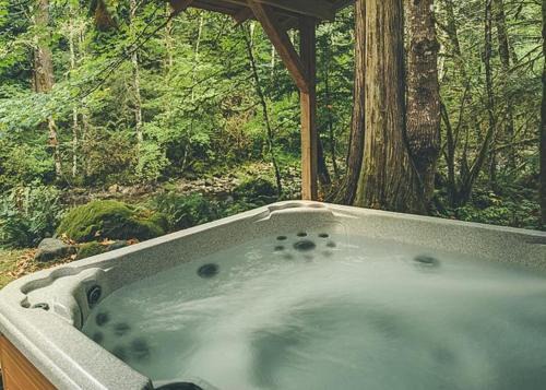 Rhododendron House | Moondance Cabin - Meredith Lodging