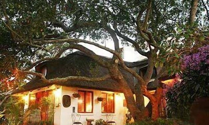 Wilderness House | Moontide Guest Lodge