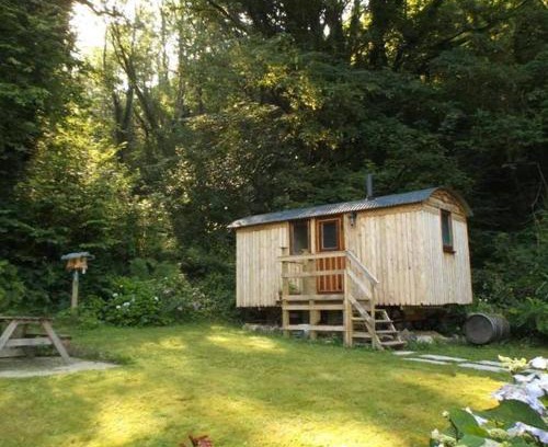 Carmarthen Other | 'Morris' the shepherd's hut and woodland hot tub experience