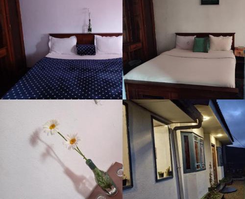 Nuwara Eliya Ski Chalet | Mount View Cottage
