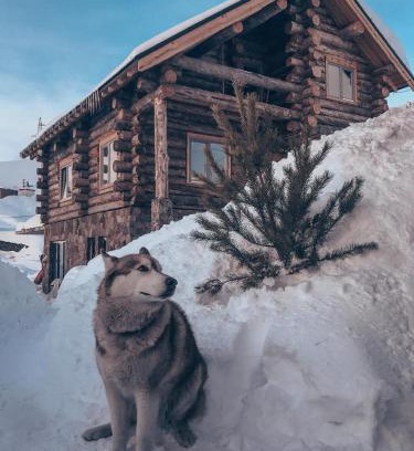 Kazbegi Apartment | Mountain Cricket Chalets and Apartments Gudauri
