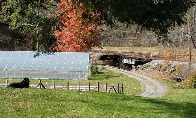 Sylva House | Mountain Living on the Farm by the Creek with Fishing