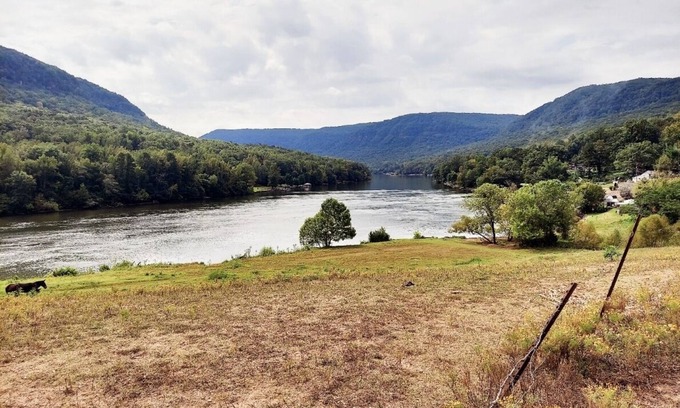 Chattanooga House | Mountain River RV Escape 12 min to downtown & Pet Friendly