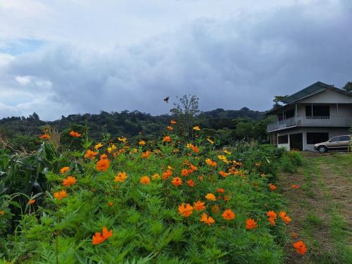 Monteverde House | Mountain & sunset view Villa, Monteverde