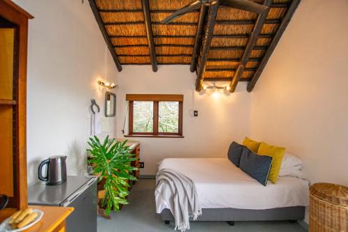 Paarl Apartment | Mountain View and Vineyard View