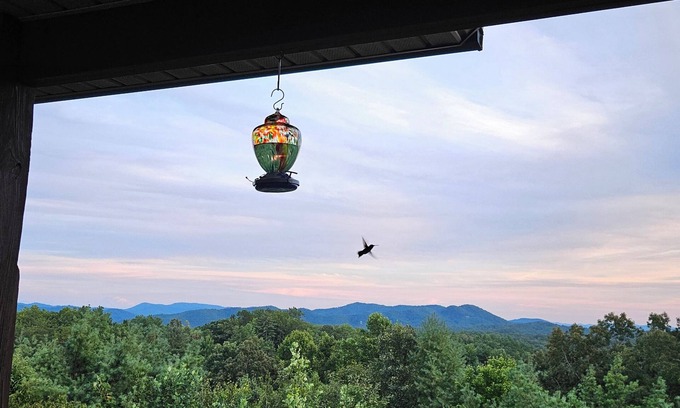 Murphy Cabin | Mountain Views All Year! Charming 3-Bed Cabin Just Minutes from Downtown