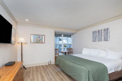 Telluride Hotel | Mountainside Inn 314 by Alpine Lodging Telluride
