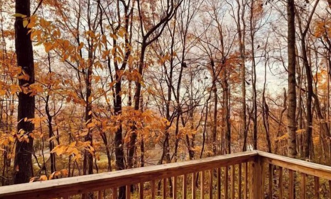 Knoxville House | Mountainside retreat 20 minutes from Downtown