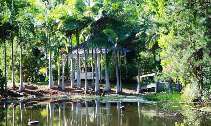 Mount Warning Cabin | Mt Warning Rainforest Retreat
