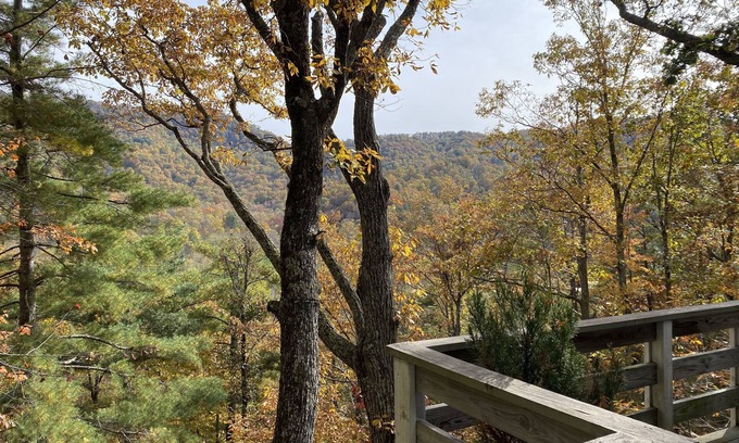 Weaverville Cabin | Mtn. Getaway- Close to Blue Ridge Pkwy (2)